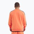 Vyriškas džemperis Pitbull Tape Nugget Crewneck Sweatshirt bright salmon 3