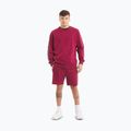 Vyriškas džemperis Pitbull Tape Nugget Crewneck Sweatshirt burgundy 2