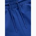 Vyriškos kelnės Pitbull Tape Nugget Jogging electric blue 6