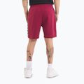Vyriški šortai Pitbull Tape Nugget burgundy 3
