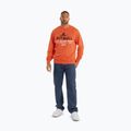 Vyriški Pitbull Surfing Dog Crewneck Sweatshirt bright salmon 2