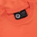 Vyriški Pitbull Dog Sd Crewneck Sweatshirt bright salmon 3