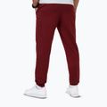 Vyriškos kelnės Pitbull Nugget Jogging burgundy 2
