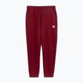 Vyriškos kelnės Pitbull Nugget Jogging burgundy 3