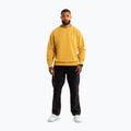 Vyriškas džemperis Pitbull Lancaster 2 Crewneck Sweatshirt washed yellow 2