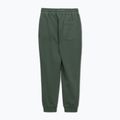 Vyriškos kelnės Pitbull Lancaster 2 Track Pants sage green 5