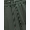 Vyriškos kelnės Pitbull Lancaster 2 Track Pants sage green 6