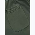 Vyriškos kelnės Pitbull Lancaster 2 Track Pants sage green 9