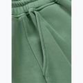 Vyriškos kelnės Pitbull Lancaster 2 Track Pants washed green 7