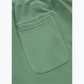Vyriškos kelnės Pitbull Lancaster 2 Track Pants washed green 8