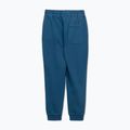Vyriškos kelnės Pitbull Lancaster 2 Track Pants shade blue 8