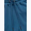 Vyriškos kelnės Pitbull Lancaster 2 Track Pants shade blue 9