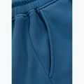 Vyriškos kelnės Pitbull Lancaster 2 Track Pants shade blue 11