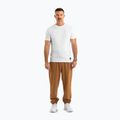 Vyriškos kelnės Pitbull Lancaster 2 Track Pants honey yellow 2