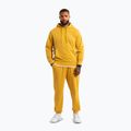 Vyriškos kelnės Pitbull Lancaster 2 Track Pants washed yellow 2
