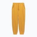 Vyriškos kelnės Pitbull Lancaster 2 Track Pants washed yellow 6