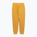 Vyriškos kelnės Pitbull Lancaster 2 Track Pants washed yellow 7