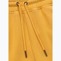 Vyriškos kelnės Pitbull Lancaster 2 Track Pants washed yellow 8