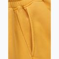 Vyriškos kelnės Pitbull Lancaster 2 Track Pants washed yellow 10