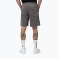 Vyriški šortai Pitbull Lancaster 2 washed grey 3