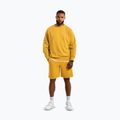 Vyriški šortai Pitbull Lancaster 2 washed yellow 2