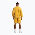 Vyriški šortai Pitbull Lancaster 2 washed yellow 4