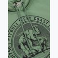 Vyriškas džemperis Pitbull Vintage Bjj Hooded Sweatshirt washed green 6