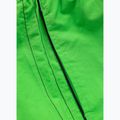 Vyriški maudymosi šortai Pitbull Crownhill fluo green 6
