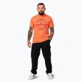 Vyriški marškinėliai Pitbull San Diego Ins. fluo orange 2