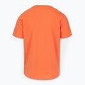 Vyriški marškinėliai Pitbull San Diego Ins. fluo orange 5