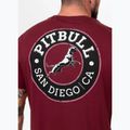 Vyriški marškinėliai Pitbull San Diego CA black burgundy 3