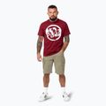 Vyriški marškinėliai Pitbull Logo Palms burgundy 2