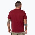 Vyriški marškinėliai Pitbull Logo Palms burgundy 3