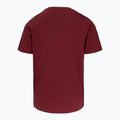 Vyriški marškinėliai Pitbull Logo Palms burgundy 5