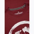 Vyriški marškinėliai Pitbull Logo Palms burgundy 6