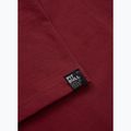 Vyriški marškinėliai Pitbull Logo Palms burgundy 8