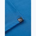 Vyriški marškinėliai Pitbull Logo Palms shade blue 8