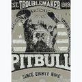 Vyriški marškinėliai Pitbull Troublemarker dusty salvia 5