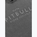 Vyriški marškinėliai Pitbull Mt. Fuji washed grey 4