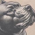 Vyriški marškinėliai Pitbull Pacyfic ultra light sand 9