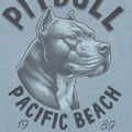Vyriški marškinėliai Pitbull Pacyfic blue 5