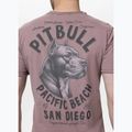 Vyriški marškinėliai Pitbull Pacyfic dusty burgundy 3