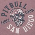 Vyriški marškinėliai Pitbull Shkull Logo dusty burgundy 3