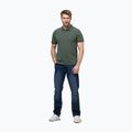 Vyriški polo marškinėliai Pitbull Washed Polo sage green 2