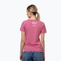 Vyriški marškinėliai Pitbull Doubletrouble washed pink 3