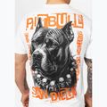Vyriški marškinėliai Pitbull Blacky white 4