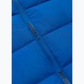 Vyriška žieminė striukė Pitbull Airway 4 Padded Hooded royal blue 9