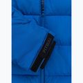 Vyriška žieminė striukė Pitbull Airway 4 Padded Hooded royal blue 10