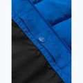 Vyriška žieminė striukė Pitbull Airway 4 Padded Hooded royal blue 14