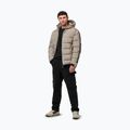 Vyriška žieminė striukė Pitbull Airway 4 Padded Hooded pale sand 2